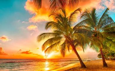 旅游綠皮書 2019~2020年中國國內(nèi)旅游業(yè)務(wù)發(fā)展分析與預(yù)測